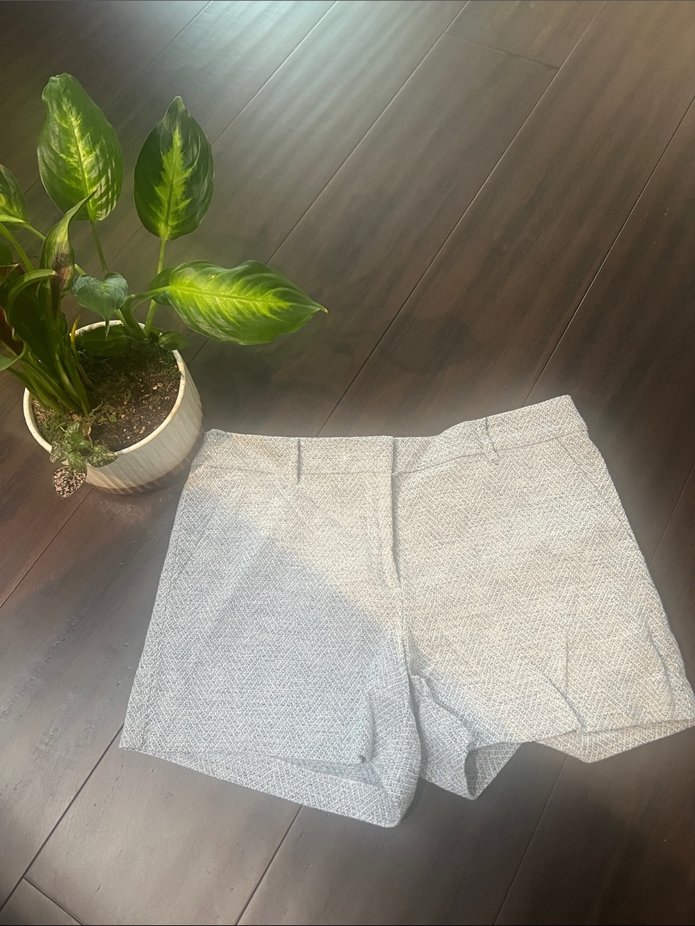 Like new LOFT Light Gray Textured Women's Tailored Riviera Shorts